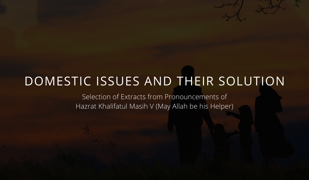 Domestic Issues and Their Solutions