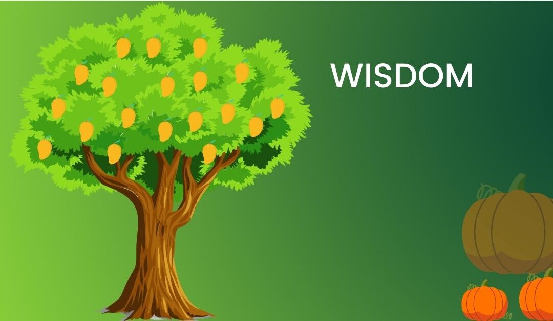Wisdom