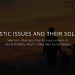 Domestic Issues and Their Solution