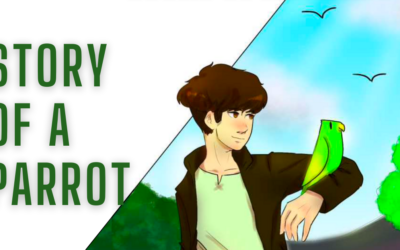 Story of a parrot